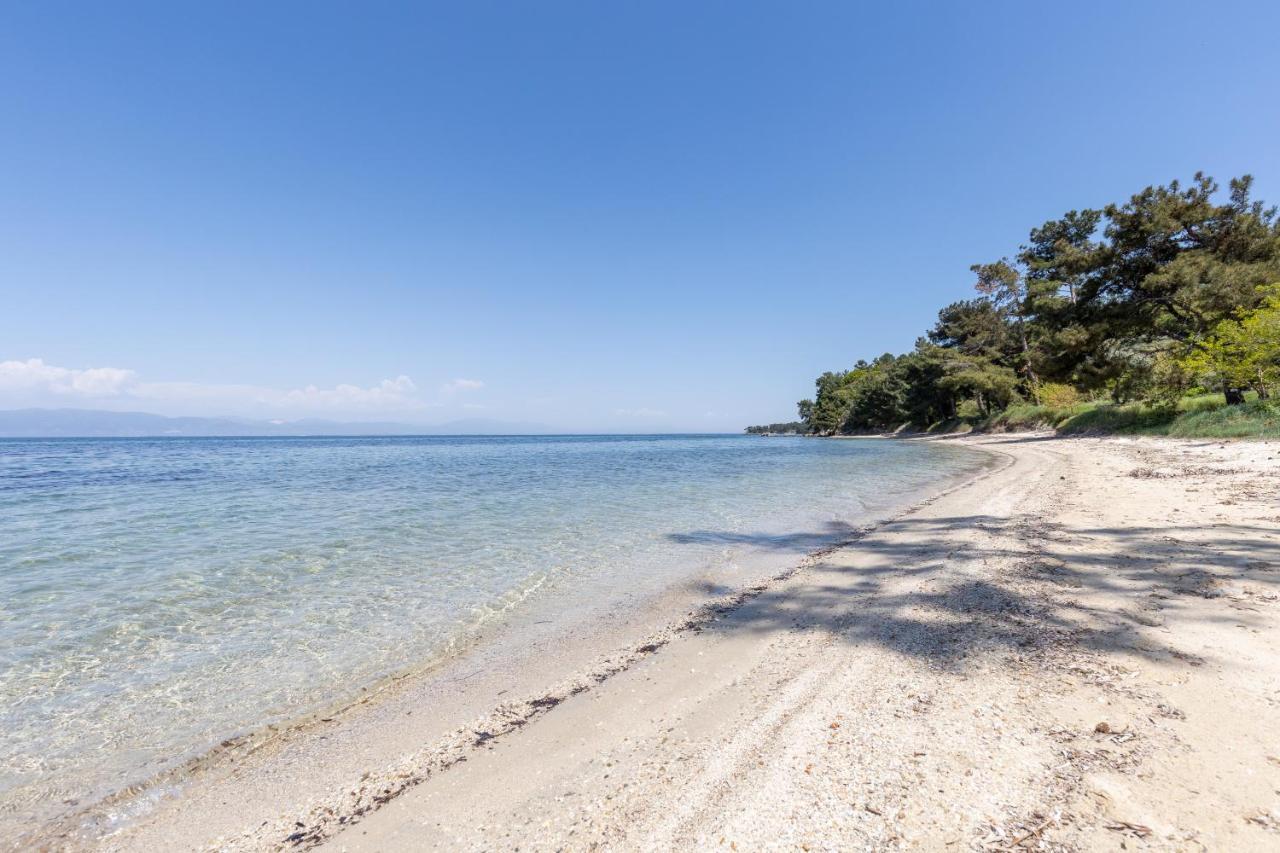 Pinereef Blue Villa Skala Rachoni  Bagian luar foto