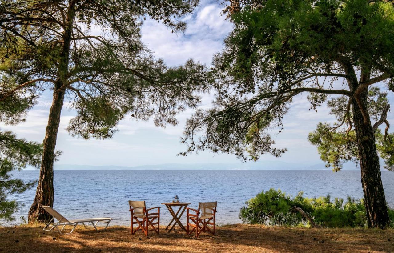 Pinereef Blue Villa Skala Rachoni  Bagian luar foto