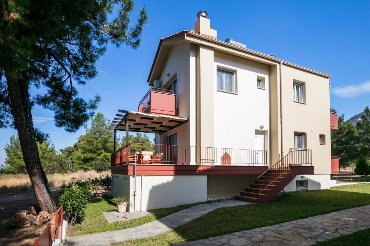 Pinereef Blue Villa Skala Rachoni  Bagian luar foto