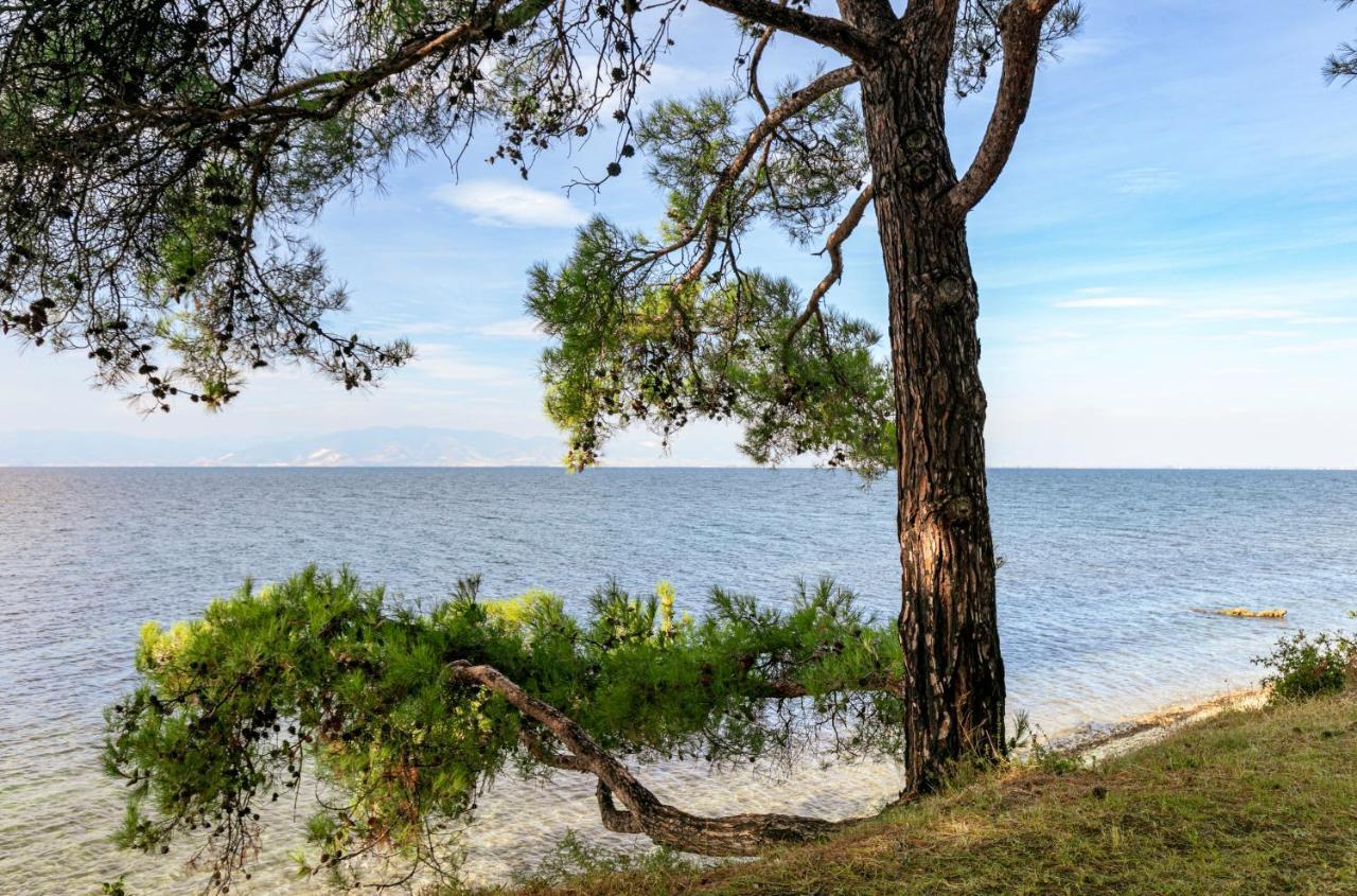 Pinereef Blue Villa Skala Rachoni  Bagian luar foto