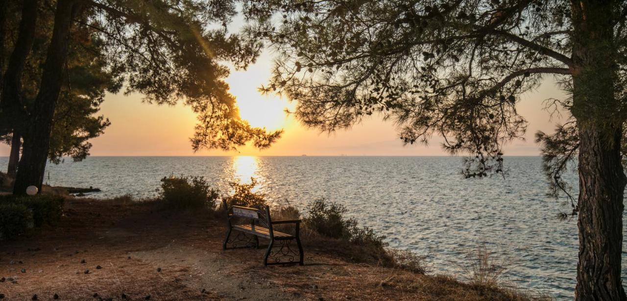 Pinereef Blue Villa Skala Rachoni  Bagian luar foto